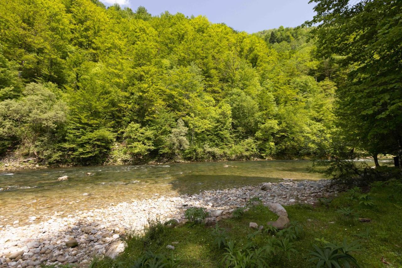 Campeggio Treehouse Kupari Nacionalni Park Risnjak
